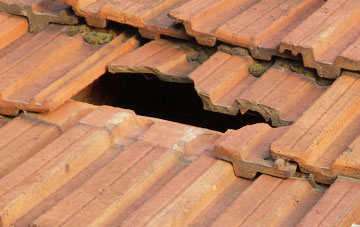 roof repair Womersley, North Yorkshire