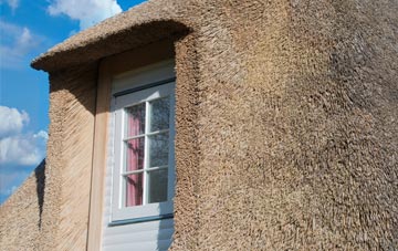 Womersley thatch roof disadvantages