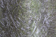 Womersley fibreglass roof work